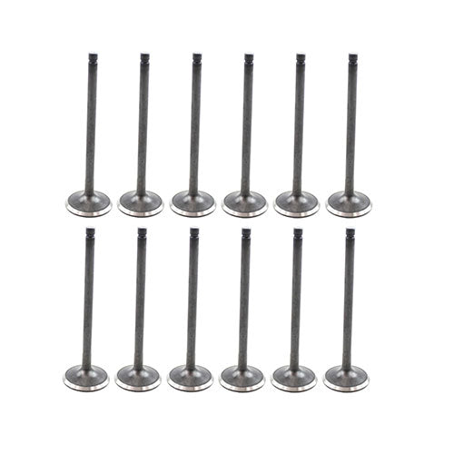Exhaust / Intake Valve Kit 1990-1993 Geo,Isuzu 1.6L