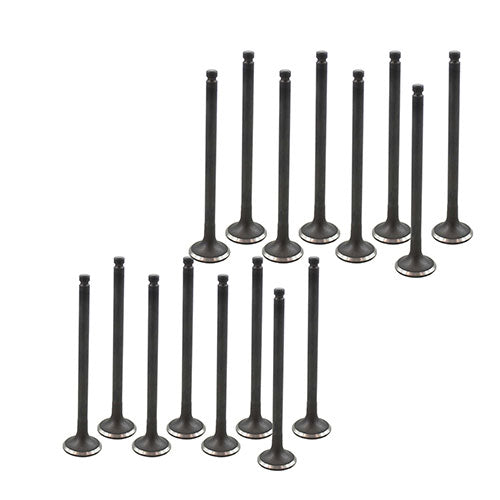 Exhaust / Intake Valve Kit 1992-1995 Kia,Mazda 1.6L