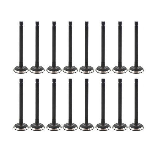 Exhaust / Intake Valve Kit 1992-2001 Chevrolet,Geo,Suzuki 1.3L-1.6L