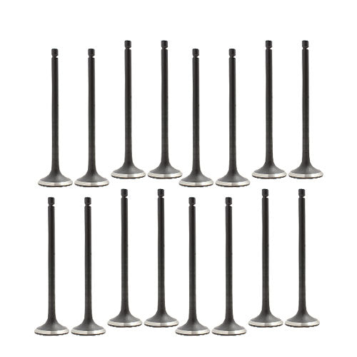 Exhaust / Intake Valve Kit 2007-2019 Chevrolet,Nissan 1.8L-2.0L