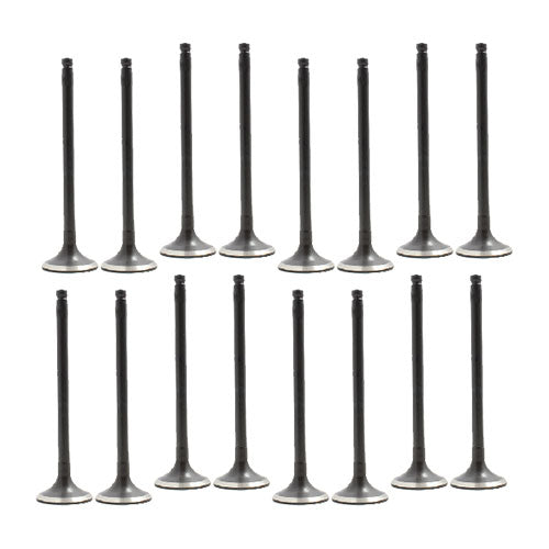 Exhaust / Intake Valve Kit 1995-2006 Nissan 1.6L-1.8L