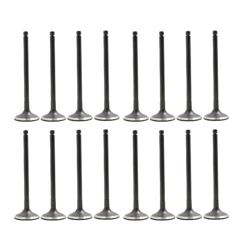 Exhaust / Intake Valve Kit 2000-2002 INFINITI,Nissan 2.0L