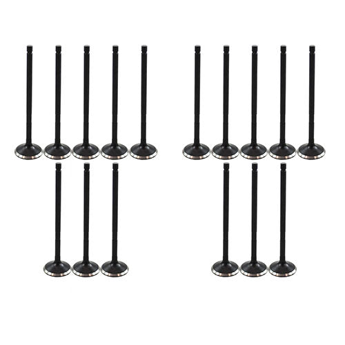 Exhaust / Intake Valve Kit 2000-2006 Pontiac,Toyota 1.8L