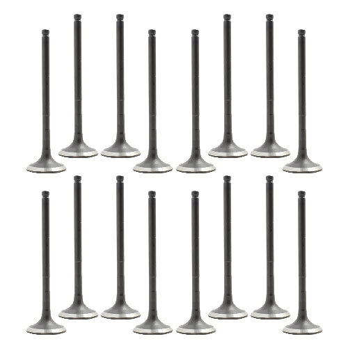 Exhaust / Intake Valve Kit 2000-2019 Scion,Toyota 1.5L