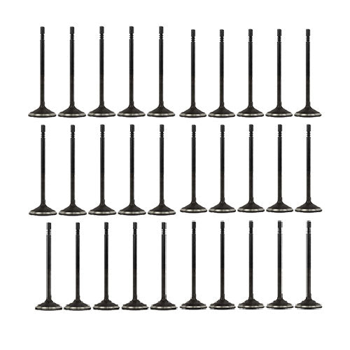 Exhaust / Intake Valve Kit 2005-2016 Ford 6.8L